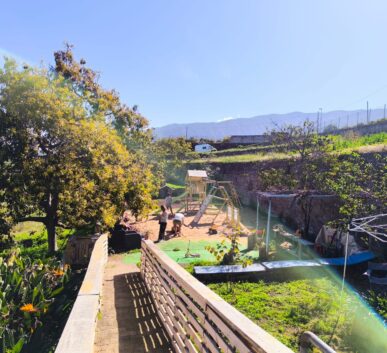 WhatsApp Image 2025-03-18 at 10.43.55 (2)