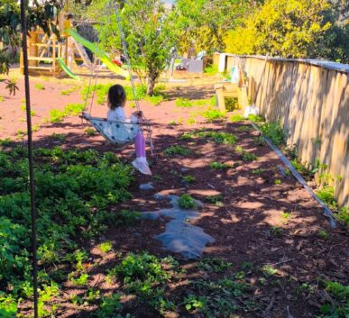 WhatsApp Image 2025-03-18 at 10.43.56