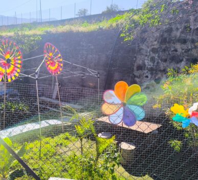 WhatsApp Image 2025-03-18 at 10.43.57 (1)