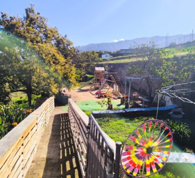 WhatsApp Image 2025-03-18 at 10.43.57